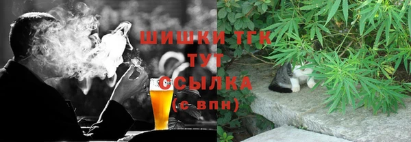 spice Арсеньев