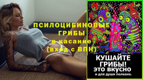 ГАЛЛЮЦИНОГЕННЫЕ ГРИБЫ Россошь